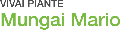 Vivaio Piante Mungai Mario